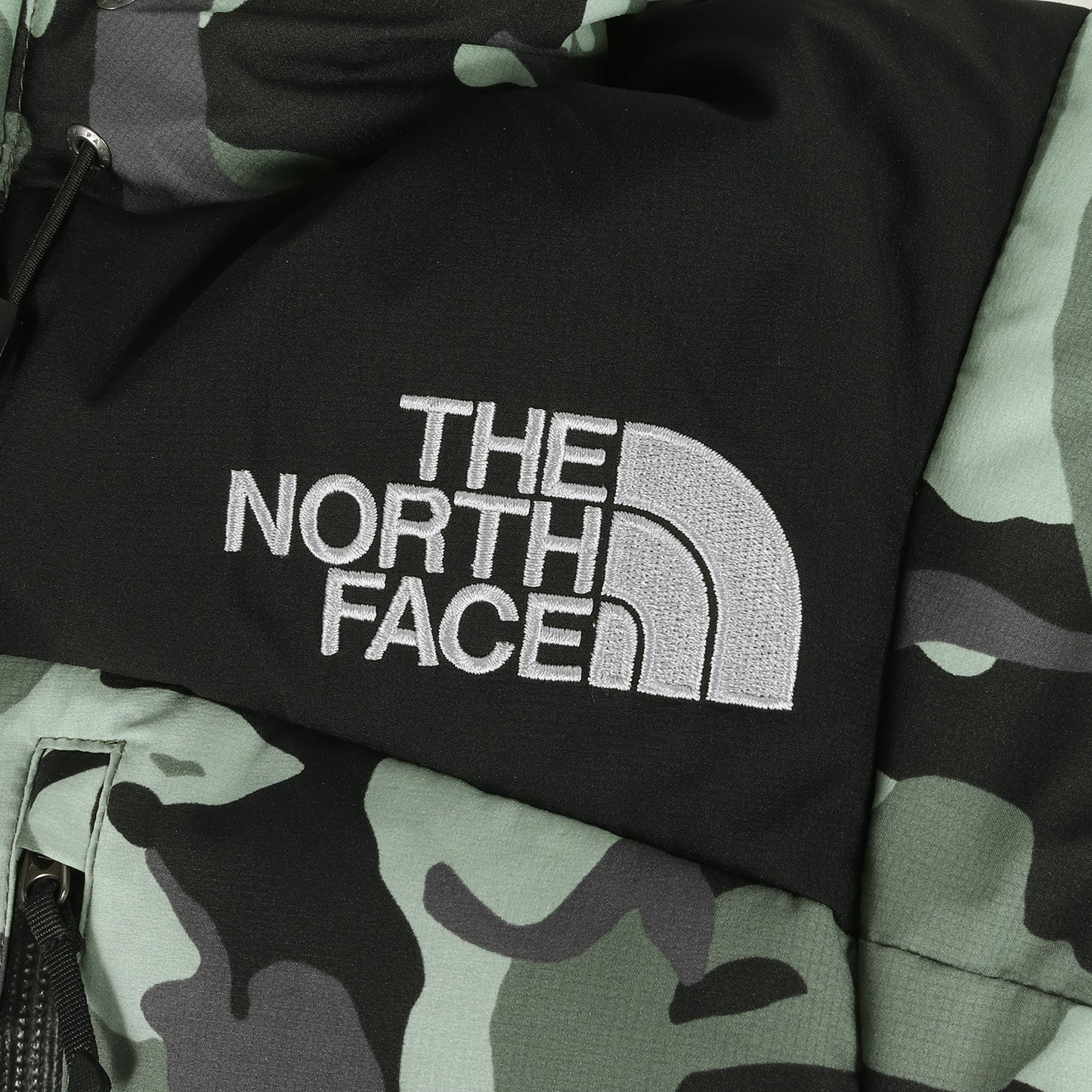 21AW GORE-TEX INFINIUM エクスプローラーカモ ノベルティー バルトロ ライト ダウンジャケット(Novelt Baltro Light Jacket ND91951)