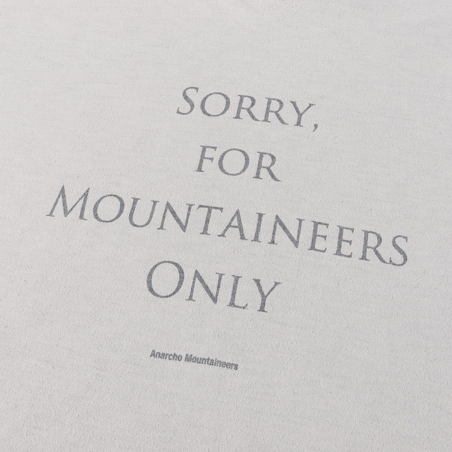 メッセージ ロゴ プリント ポリ Tシャツ (Sorry Tee R-112)