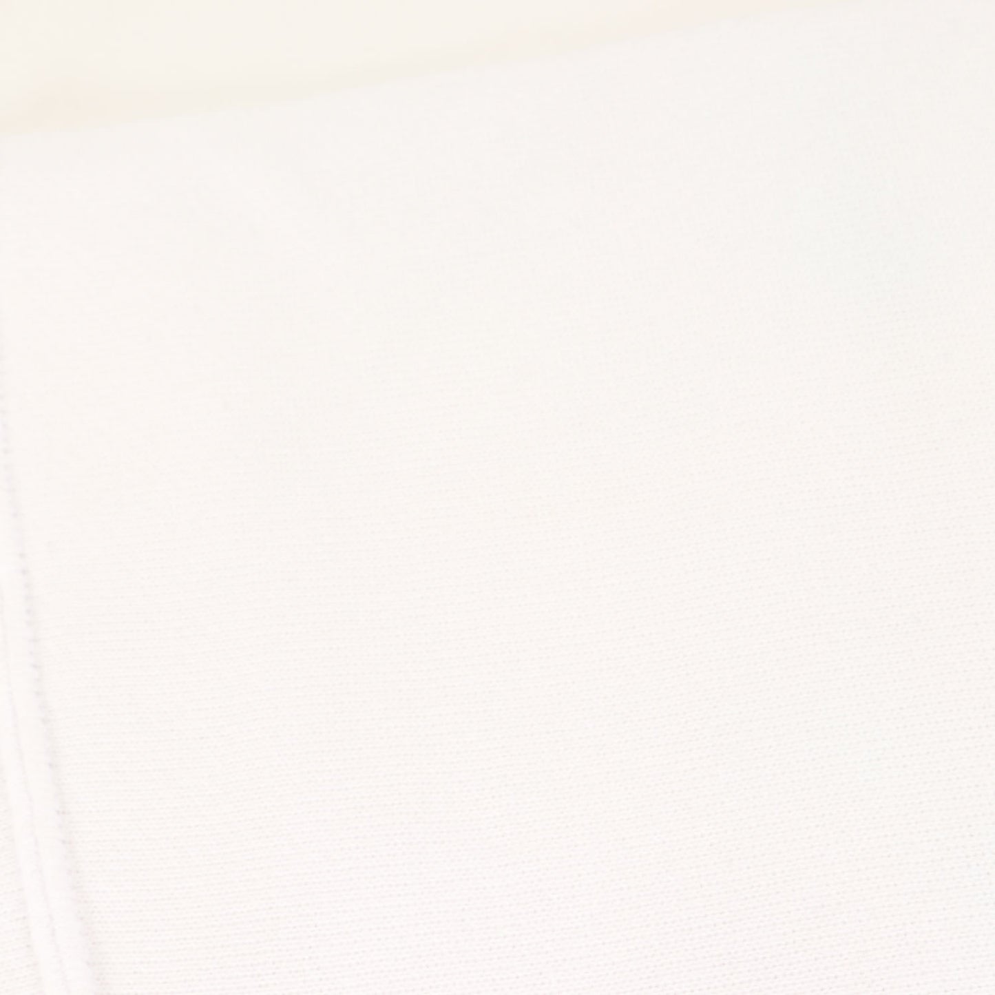 × Champion REVERSE WEAVE 半袖 スウェット Tシャツ (C8-V016) / 裏毛