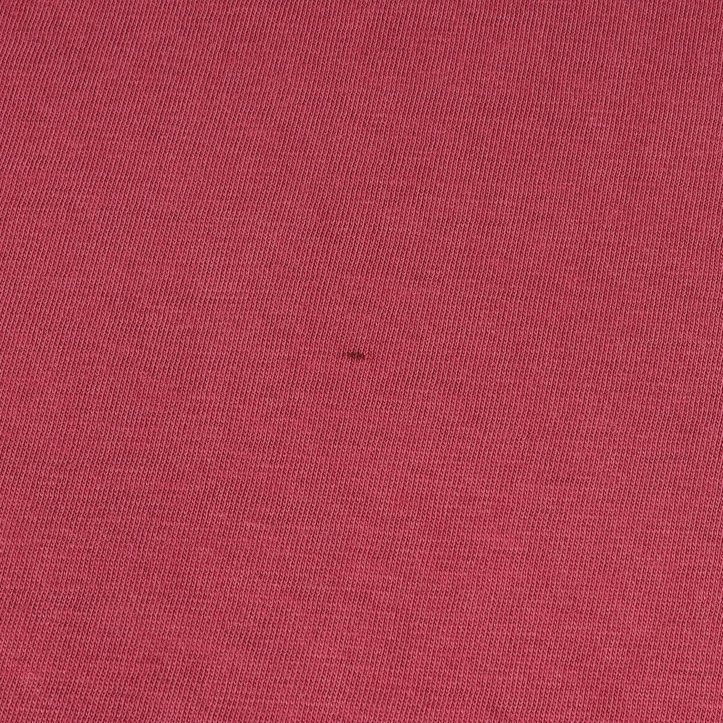 グラフィック 刺繍 Tシャツ