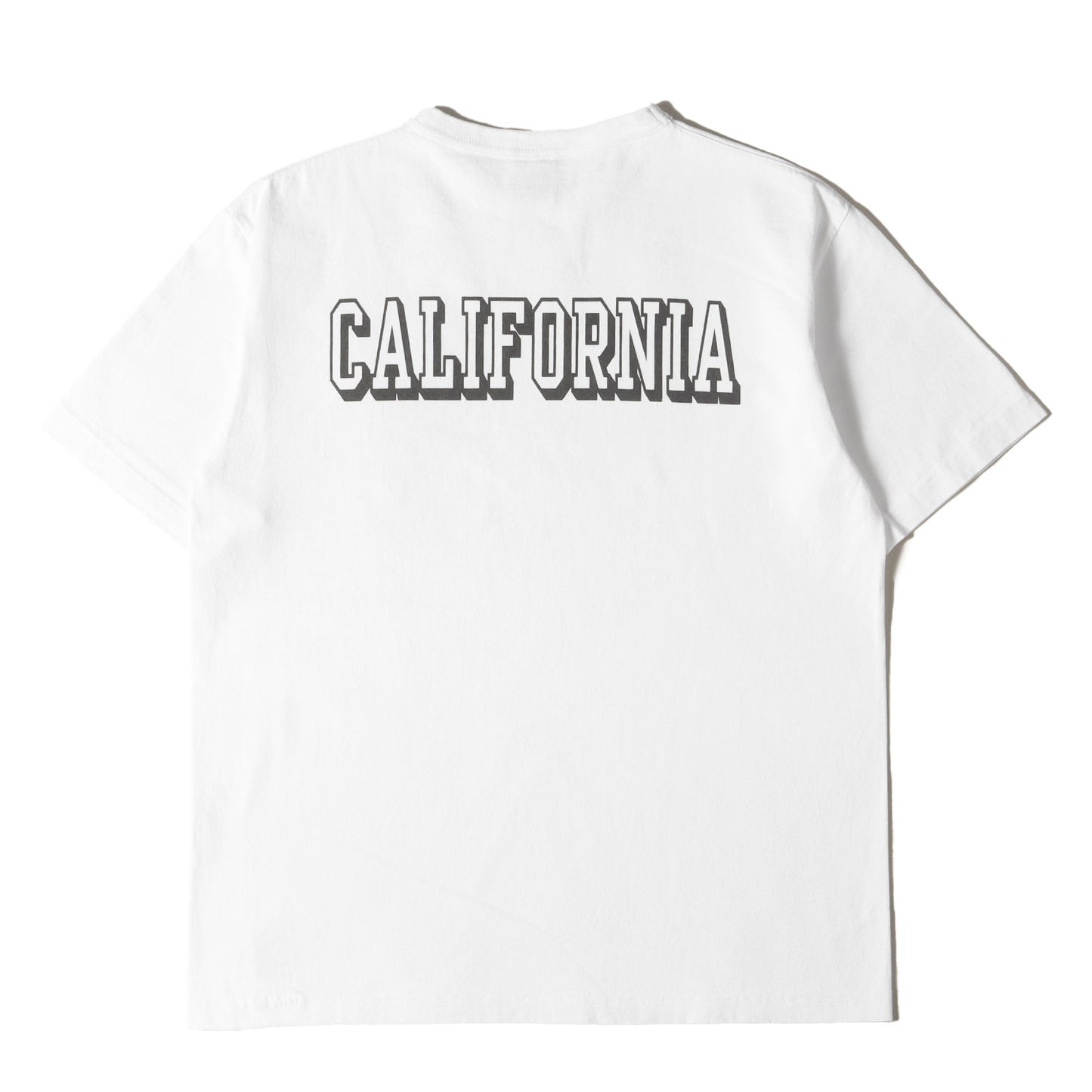 × Champion ヘビーウェイト グラフィック ロゴ Tシャツ (CHAMPION × SD MADE IN USA T1011 T) / MADE IN USA