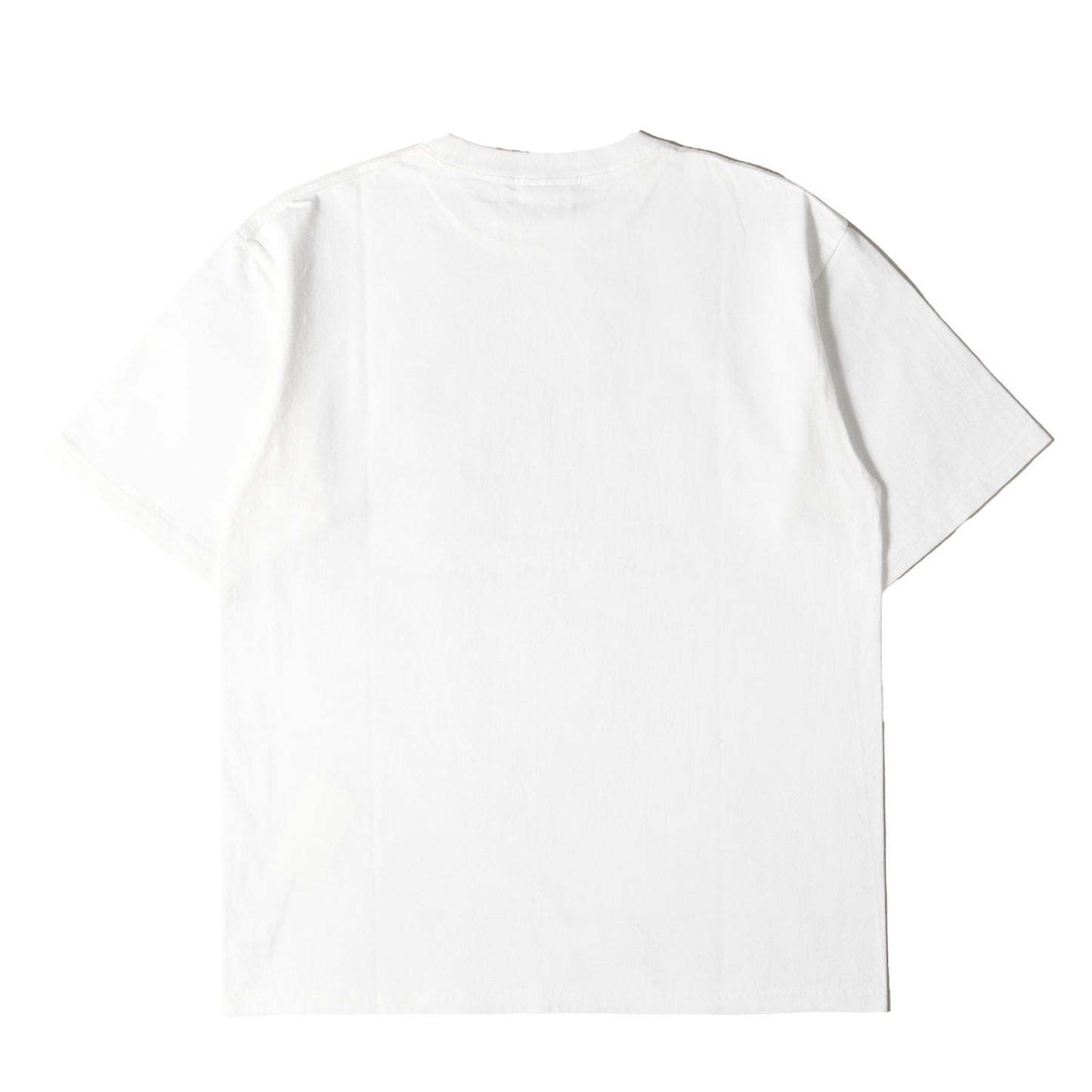 ヘビーウェイト フロント ロゴ プリント Tシャツ (SD HEAVYWEIGHT LOGO T)