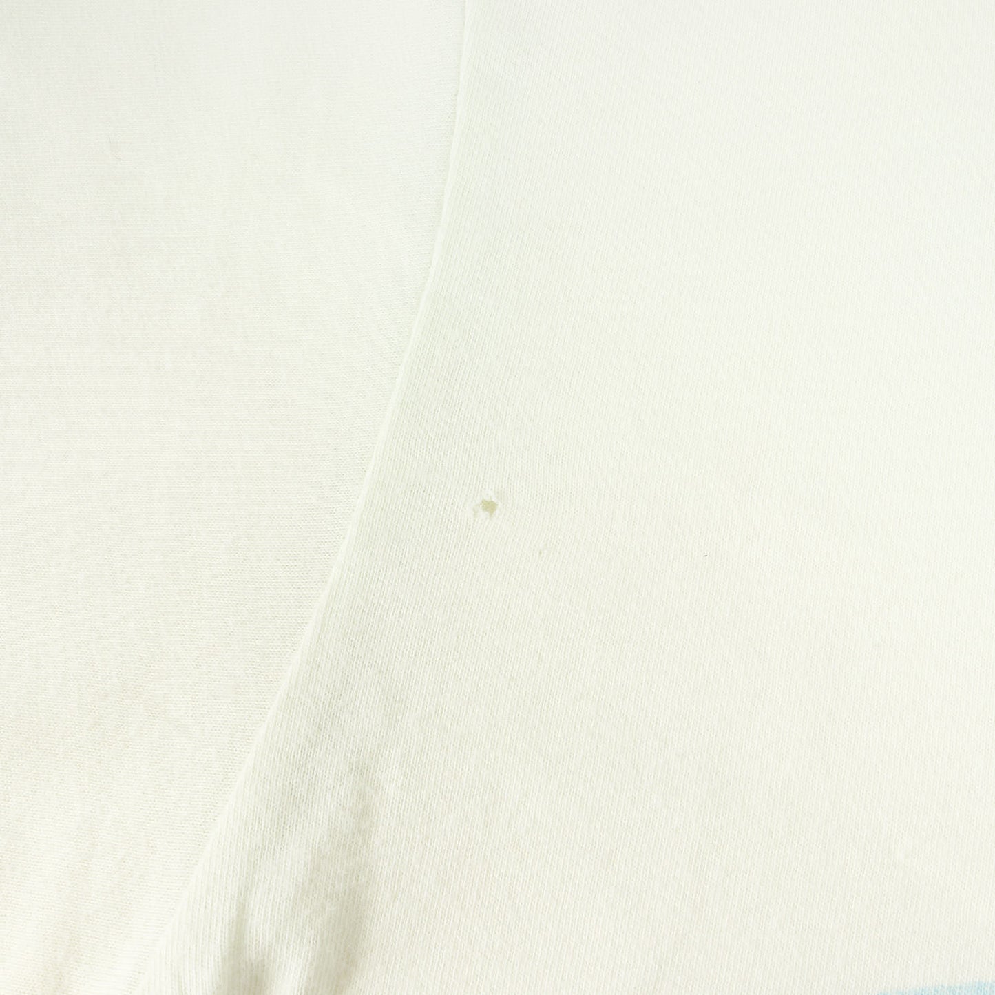 フィッシュ グラフィック クルーネック Tシャツ