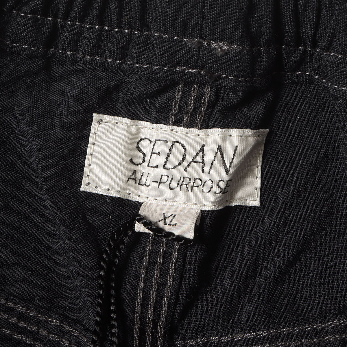 22SS ナイロン ペインター イージーパンツ(Carpenter Easy Pant SD22S-PT03)