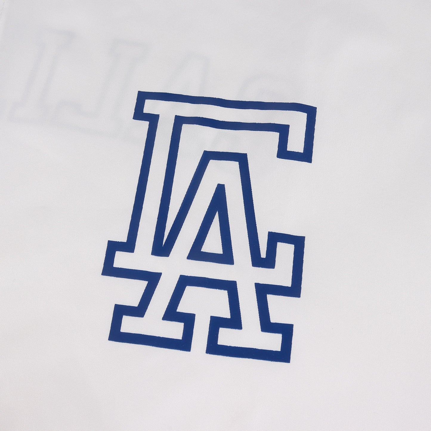 24AW × Champion ロゴ プリント アノラック パーカー (Packable Anorak)