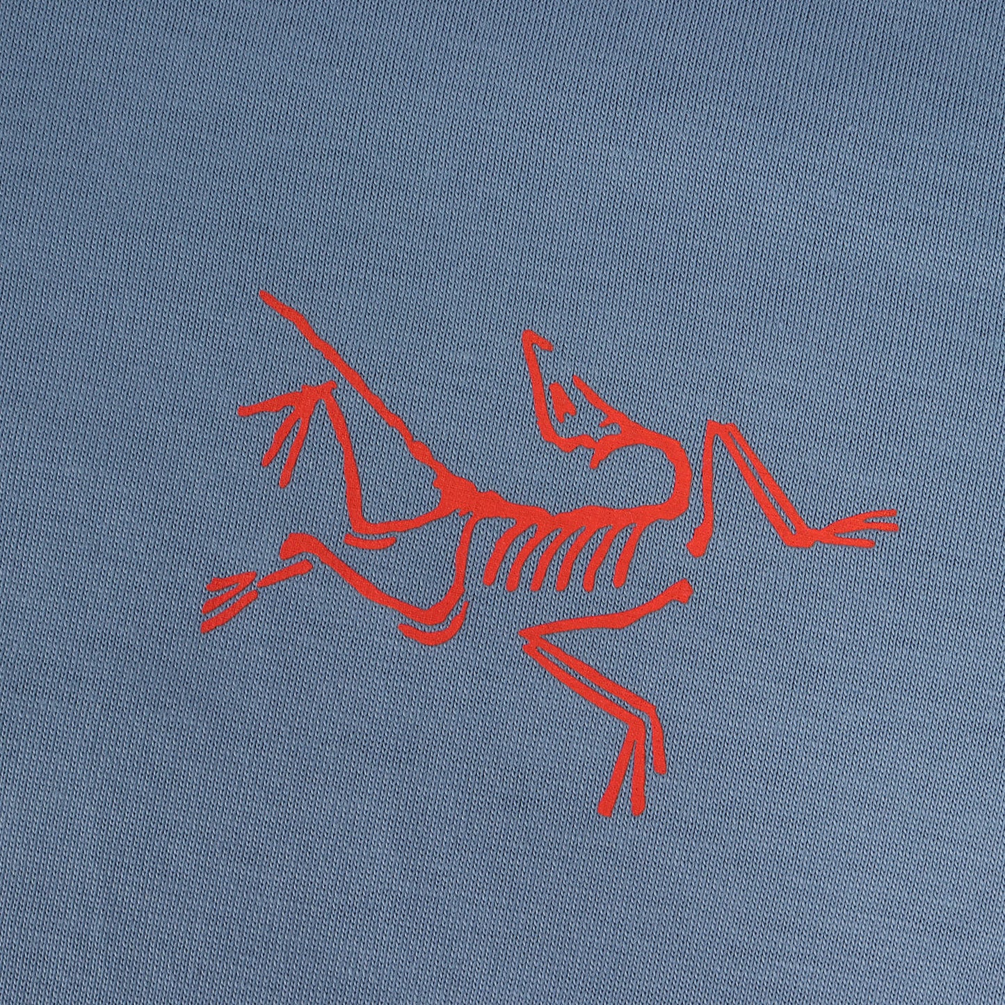 24SS アイコン プリント ロングスリーブ Tシャツ (Arc' Multi Bird Logo LS M X000007746)