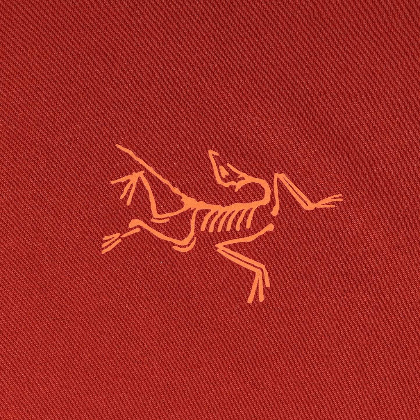 24AW アイコン プリント ロングスリーブ Tシャツ (Arc' Multi Bird Logo LS M X000007746)