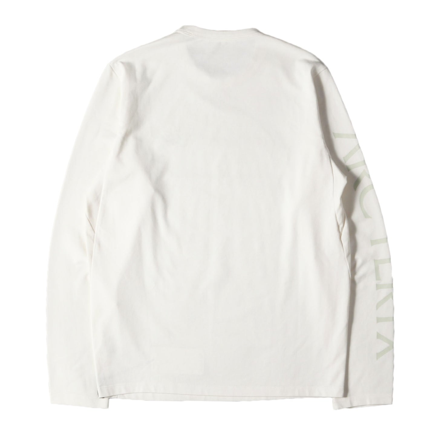 23AW ワンポイント アイコン 刺繍 スリーブ ロゴ カットソー (Captive Arcword Long Sleeve Shirt X000006544)