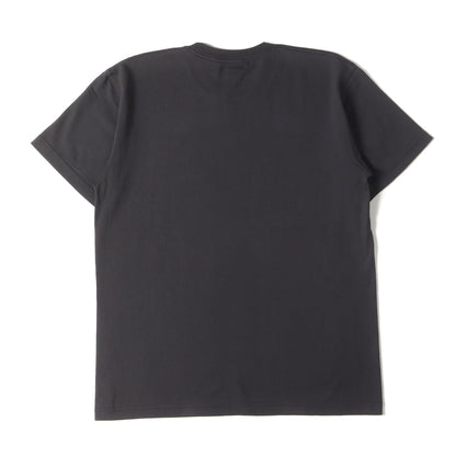 いわき絵のぼり 鯉の滝登り グラフィック Tシャツ / JAPAN