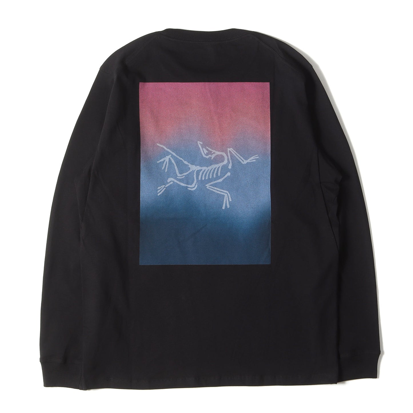 23AW アイコン プリント ロングスリーブ Tシャツ (Kragg Cotton Heatmap LS M X000008482)