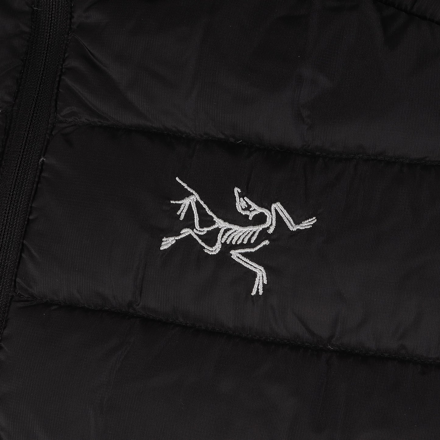 セリウム フーディー ダウンジャケット (Cerium LT Hoody 118463 / 2019年製)