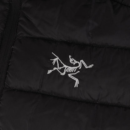 セリウム フーディー ダウンジャケット (Cerium LT Hoody 118463 / 2019年製)