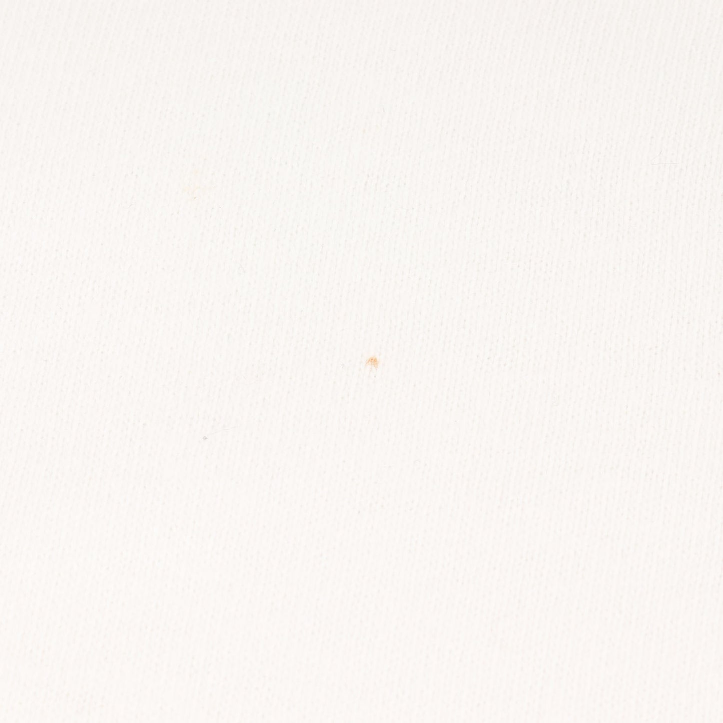 23SS × VANS グラフィック ロゴ Tシャツ (VANS × SD LOGO T 122C1010228)