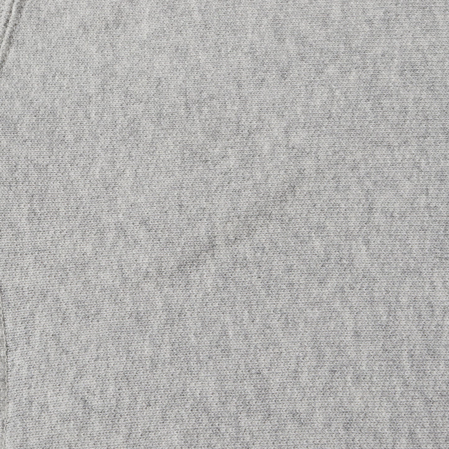 22AW × Champion 単色タグ オールドイングリッシュ ロゴ リバスウィーブ スウェット (CHAMPION × SD Reverse Weave Crew Sweat Official Store Limited) / 裏起毛