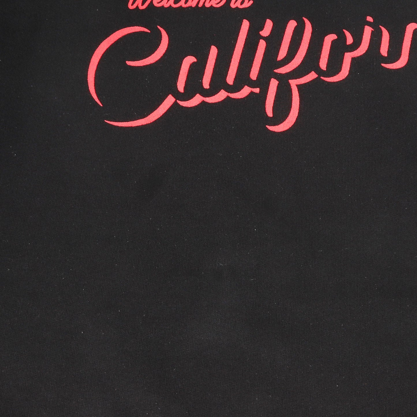 Welcome to California ロゴ クルーネック スウェット シャツ / 裏起毛