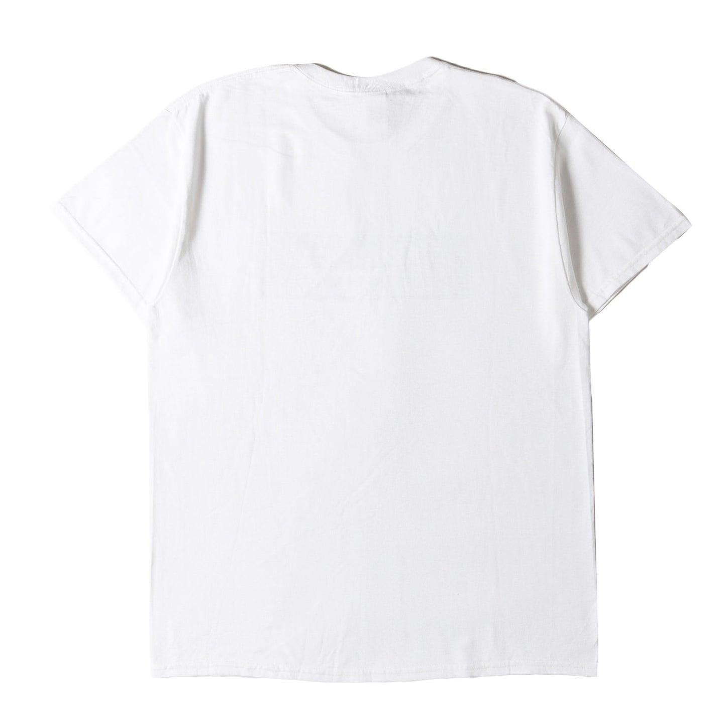 GREEN ROOM FES 2018 限定 ロゴ Tシャツ / GILDAN ULTRA COTTON