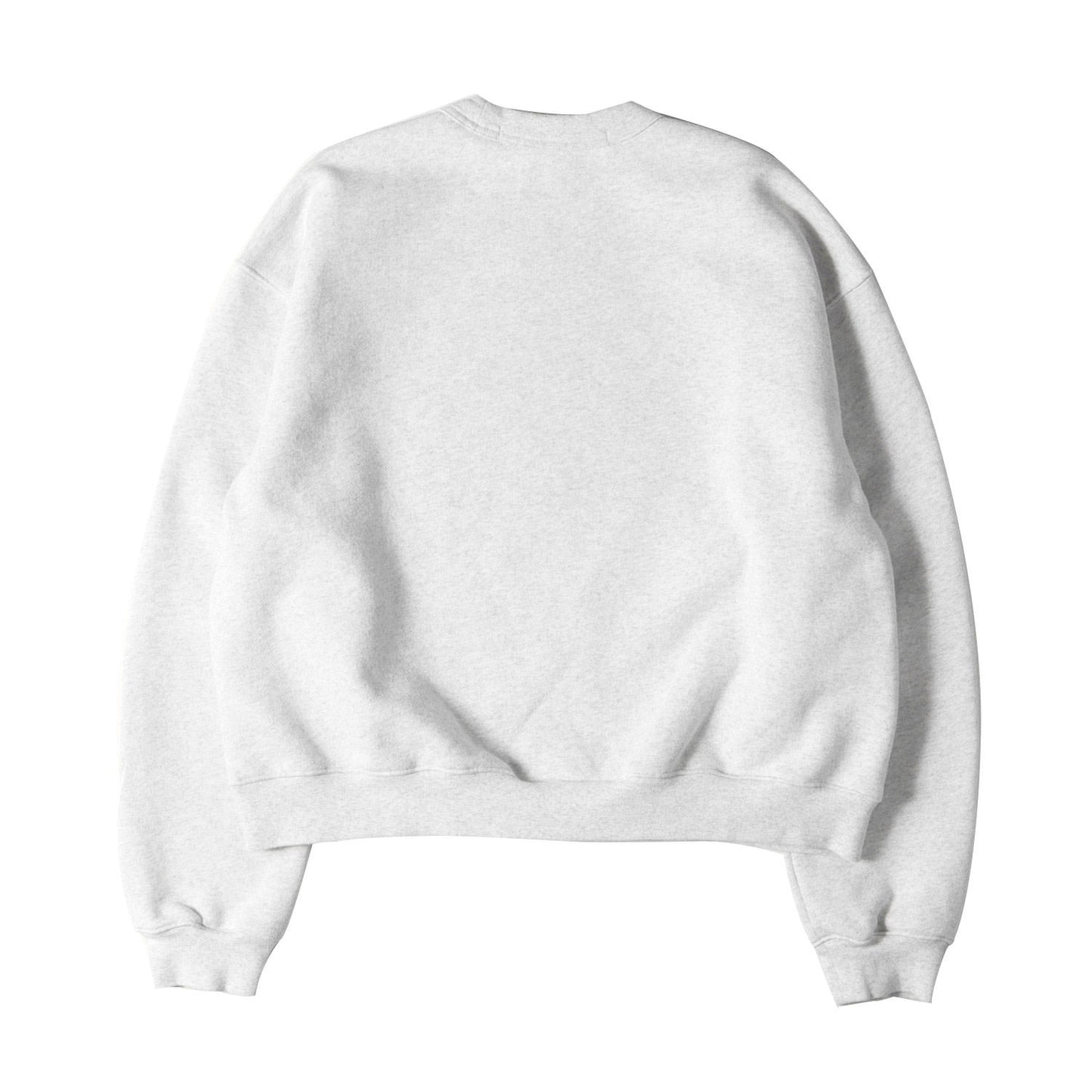 ワンポイント ラバーロゴ ヘビーウェイト スウェット (UNISEX CREWNECK SWEATSHIRT IN DENSE FLEECE UCC2221530) / 裏起毛
