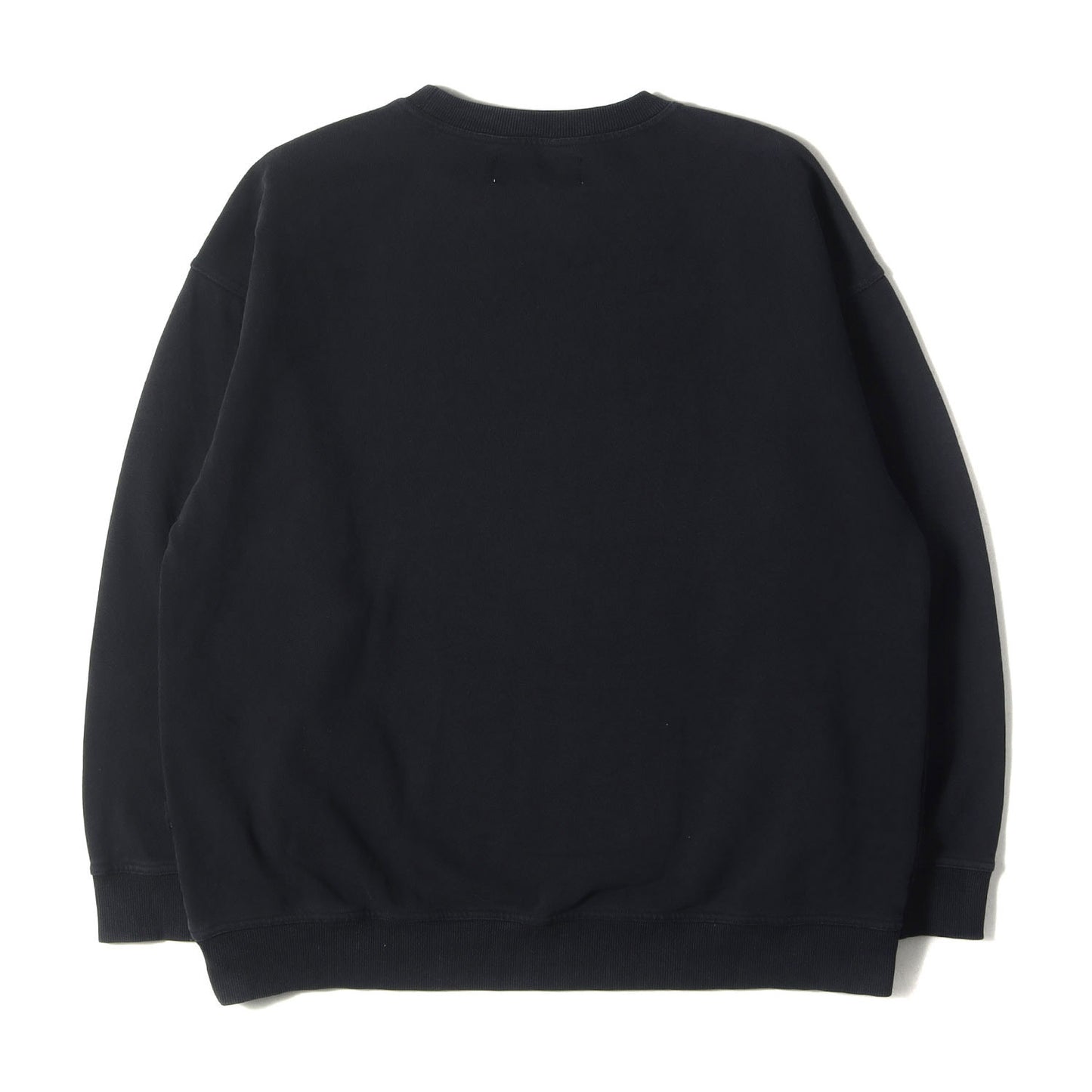プレーン ソリッド スウェット (PACIFICS SWEATSHIRT NG0291) / マイクロ裏起毛
