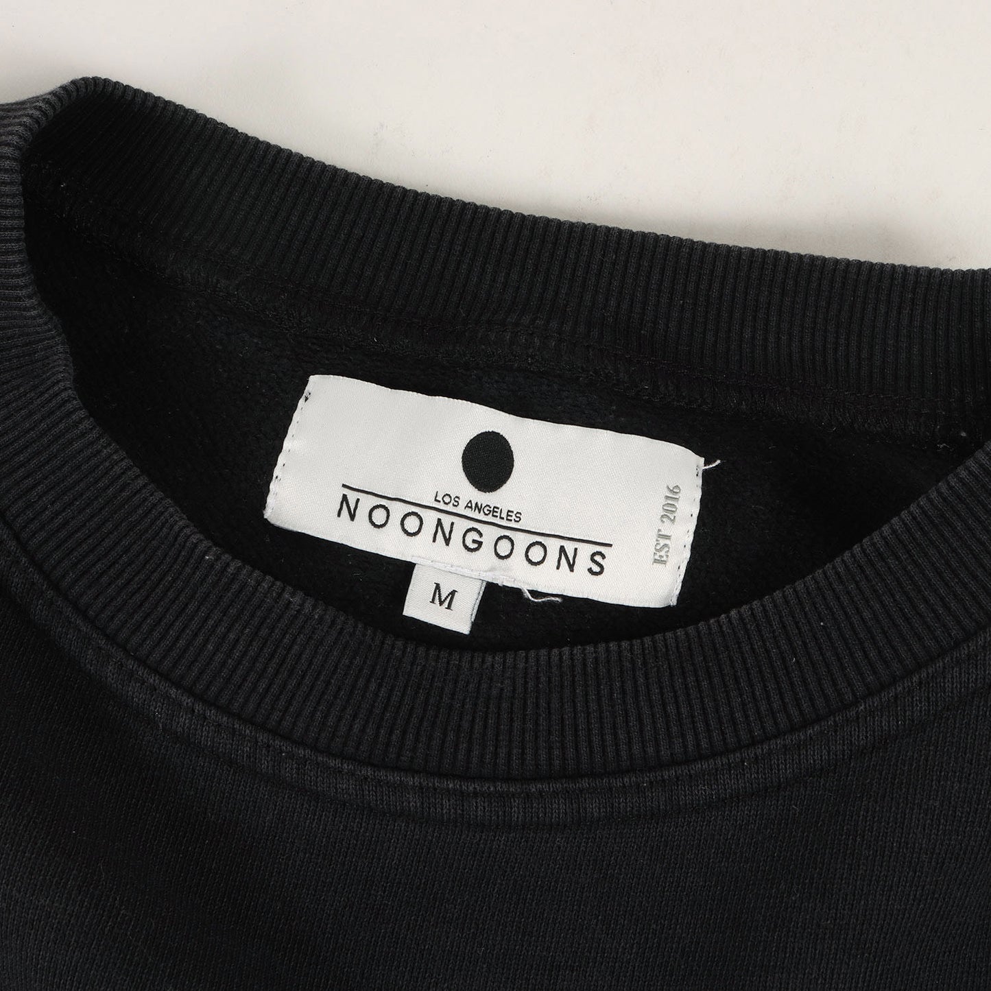 プレーン ソリッド スウェット (PACIFICS SWEATSHIRT NG0291) / マイクロ裏起毛