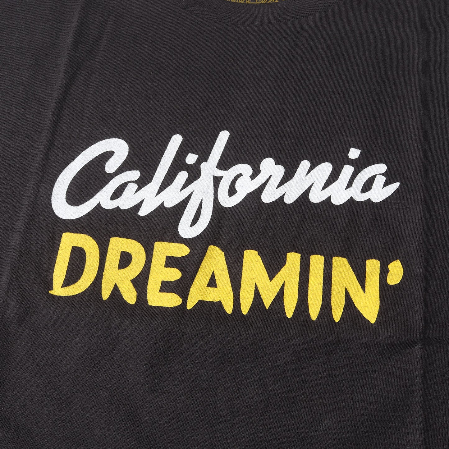 23AW グラフィック ロゴ Tシャツ (SD CALIFORNIA DREAMIN T)