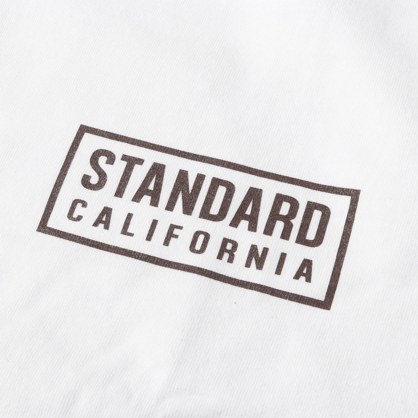 23SS ボックスロゴ ヘビーウェイト ロングスリーブ Tシャツ (SD HEAVYWEIGHT BOX LOGO LS T)