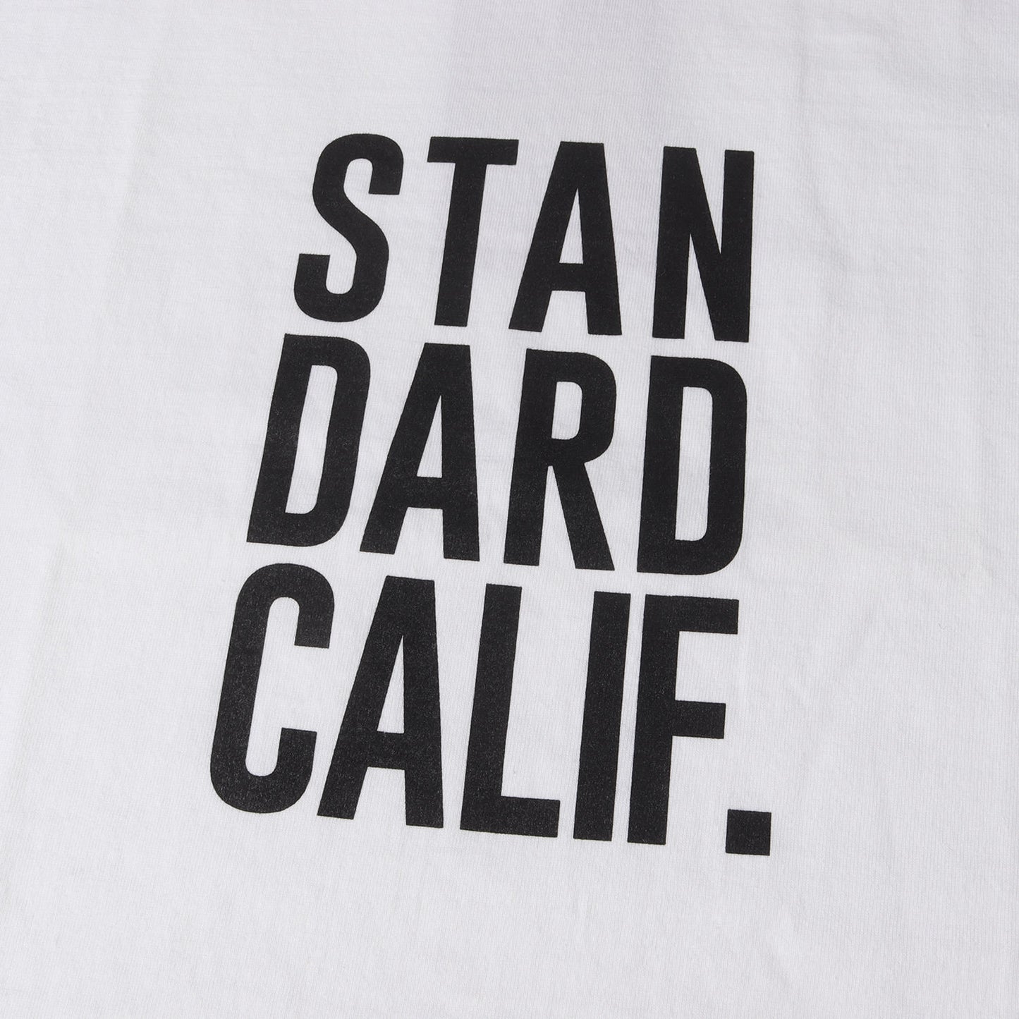 × GO OUT 別注 リミテッド グラフィック ロゴ Tシャツ (SD Heavyweight Logo T GO OUT LTD)