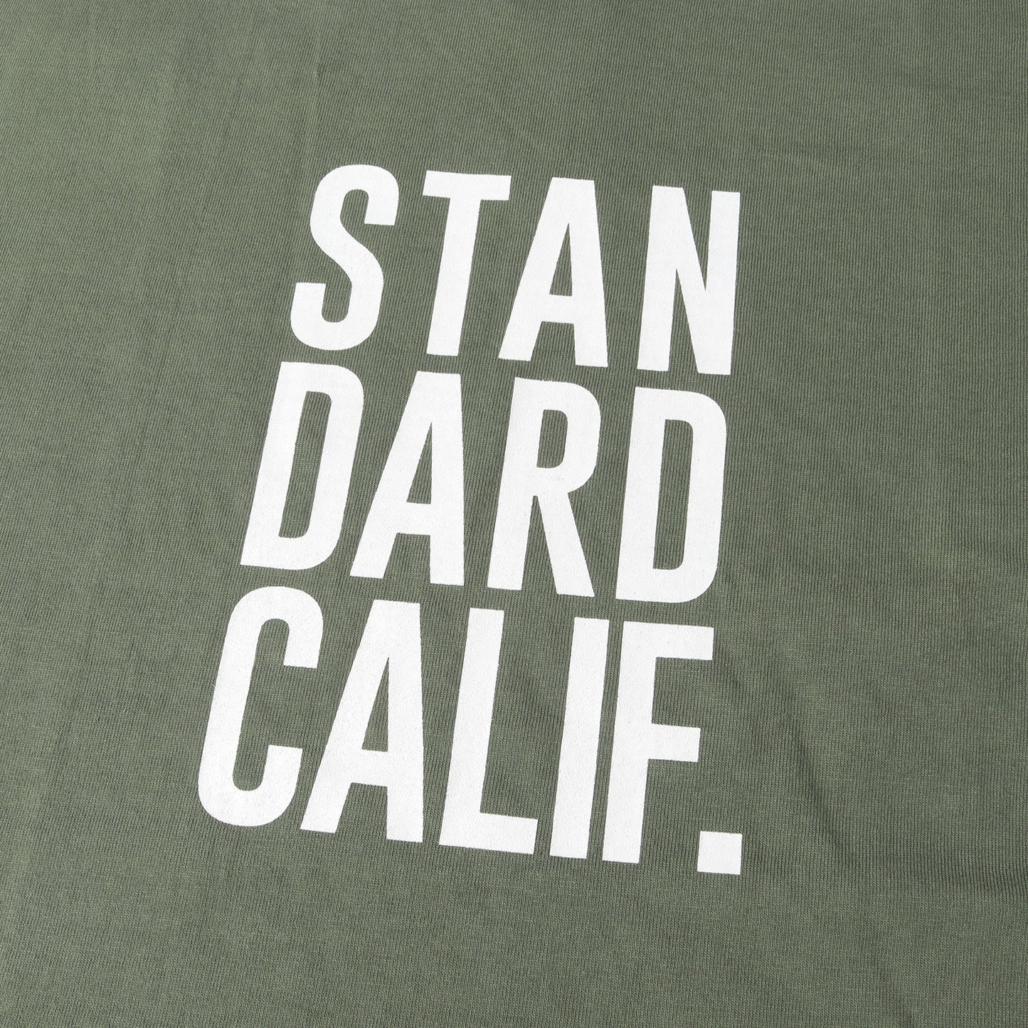 × GO OUT 別注 リミテッド グラフィック ロゴ Tシャツ (SD Heavyweight Logo T GO OUT LTD)