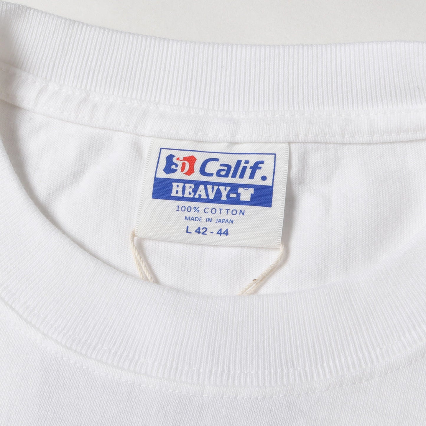 ヘビーウェイト グラフィック ロゴ Tシャツ (SD HEAVYWEIGHT OVAL LOGO T)