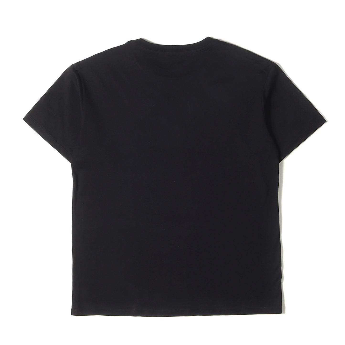 24SS ロゴ Tシャツ (DELUSIONAL DAYDREAM T-SHIRT 2X59M671Q.38AW)