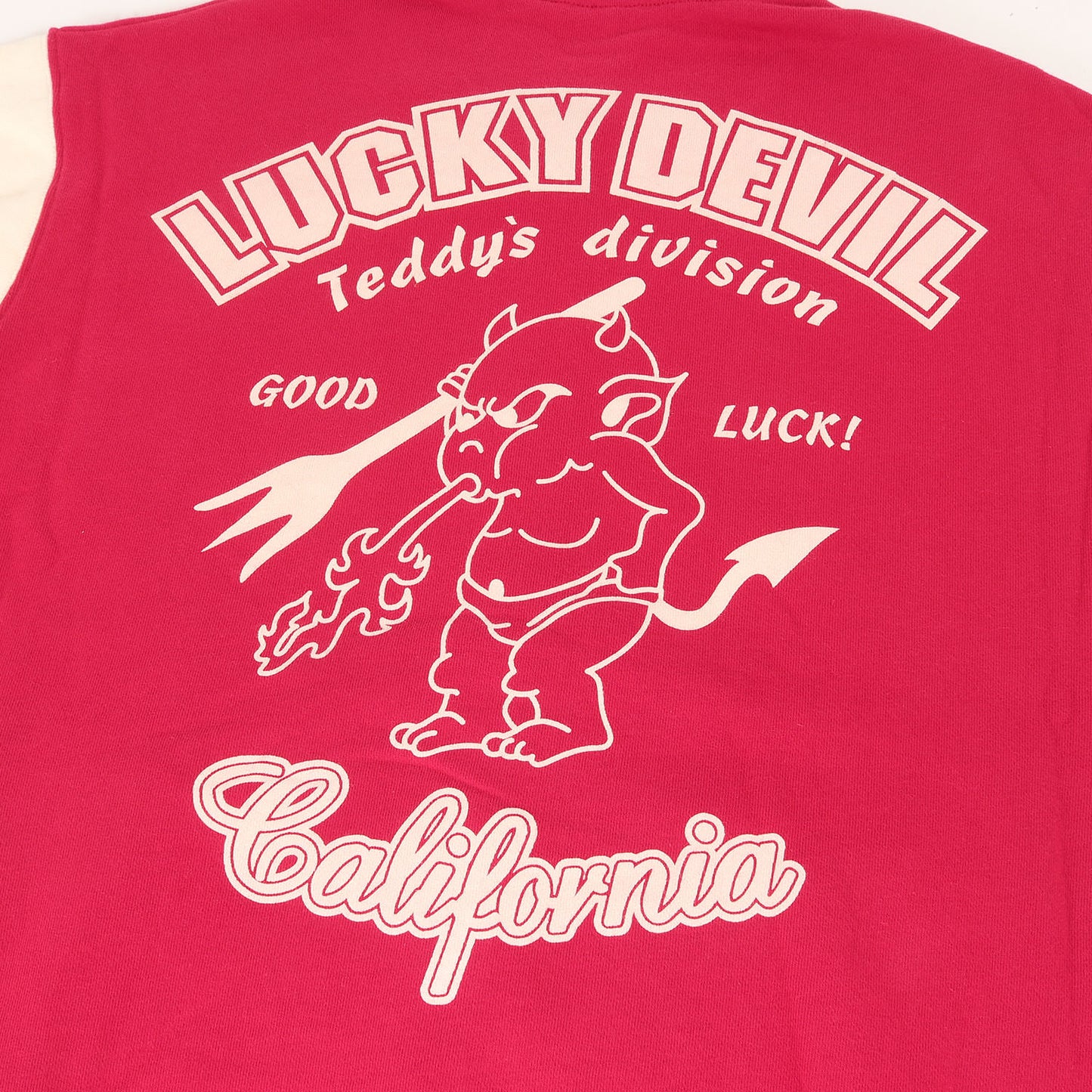 TEDCOMPANY LUCKY DEVIL スウェット スタジャン (TDSWJ-100) / 裏毛