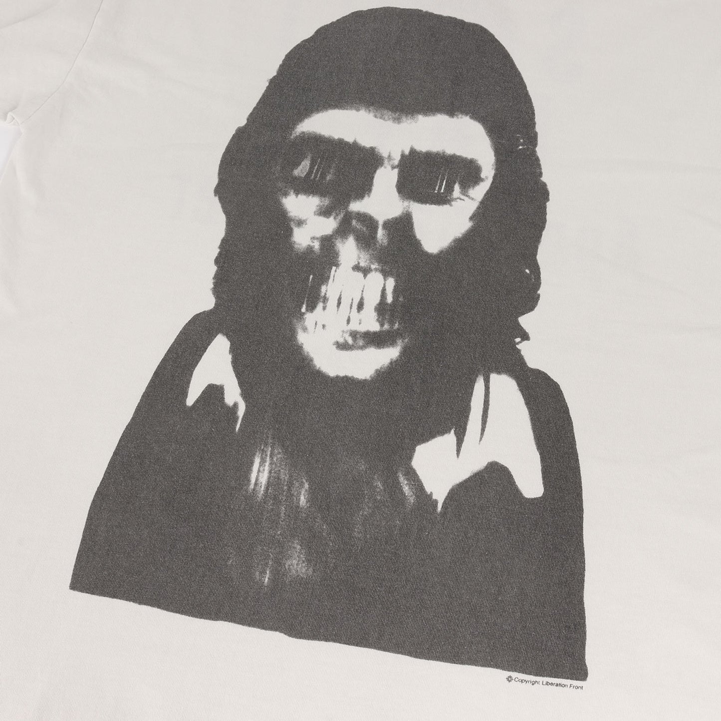23SS × A BATHING APE 猿顔 グラフィック オーバーサイズ Tシャツ (S/S T-SHIRT)