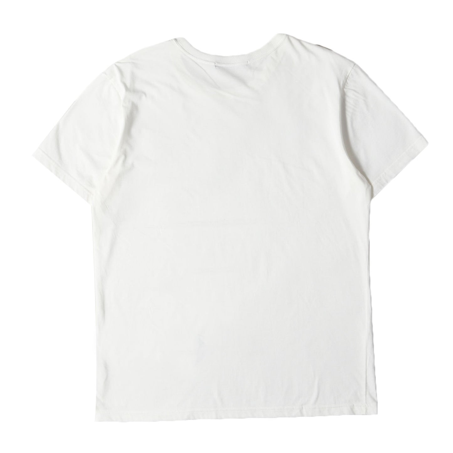 22SS コットンシルク Tシャツ (SILK STAPLE COTTON JERSEY S/S CREW-NECK T216 CNS009)