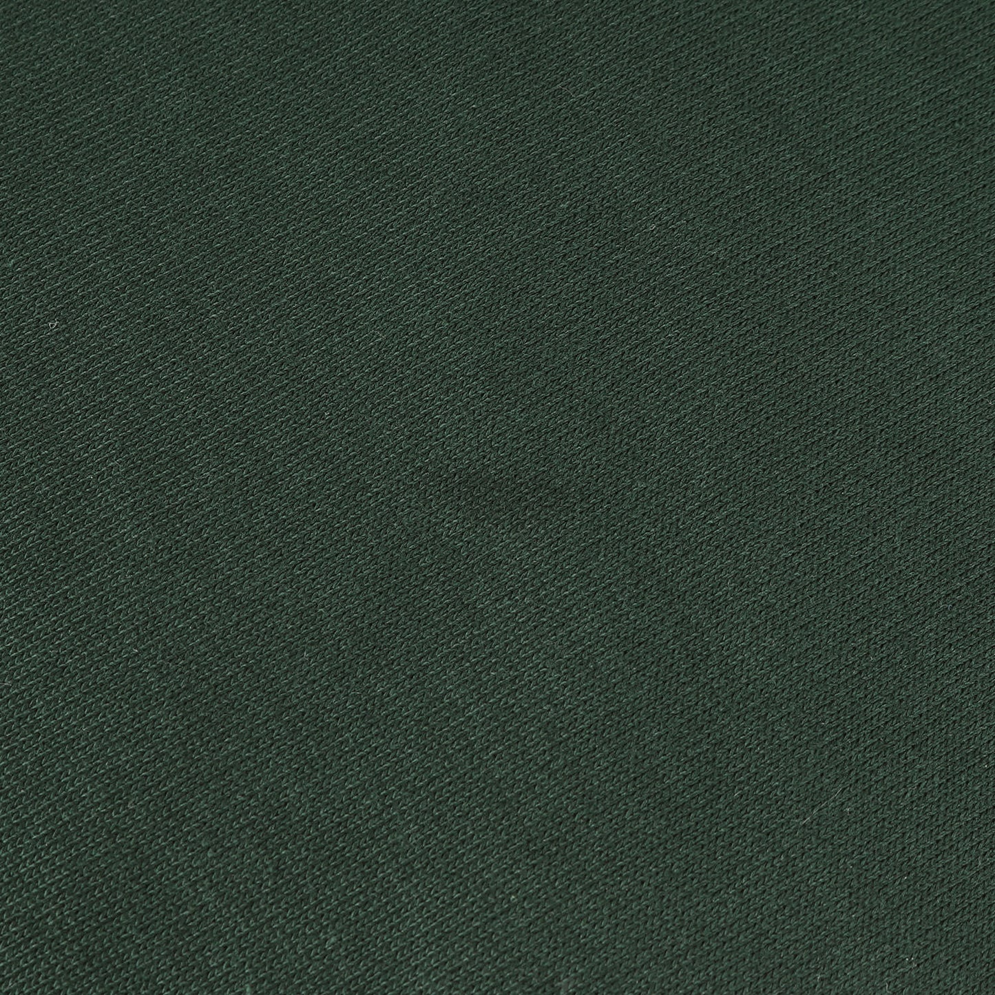 22AW ジャパニーズ ロゴ スウェット (22WBM-SAMPLE) / 裏毛 BEACON SAMPLE