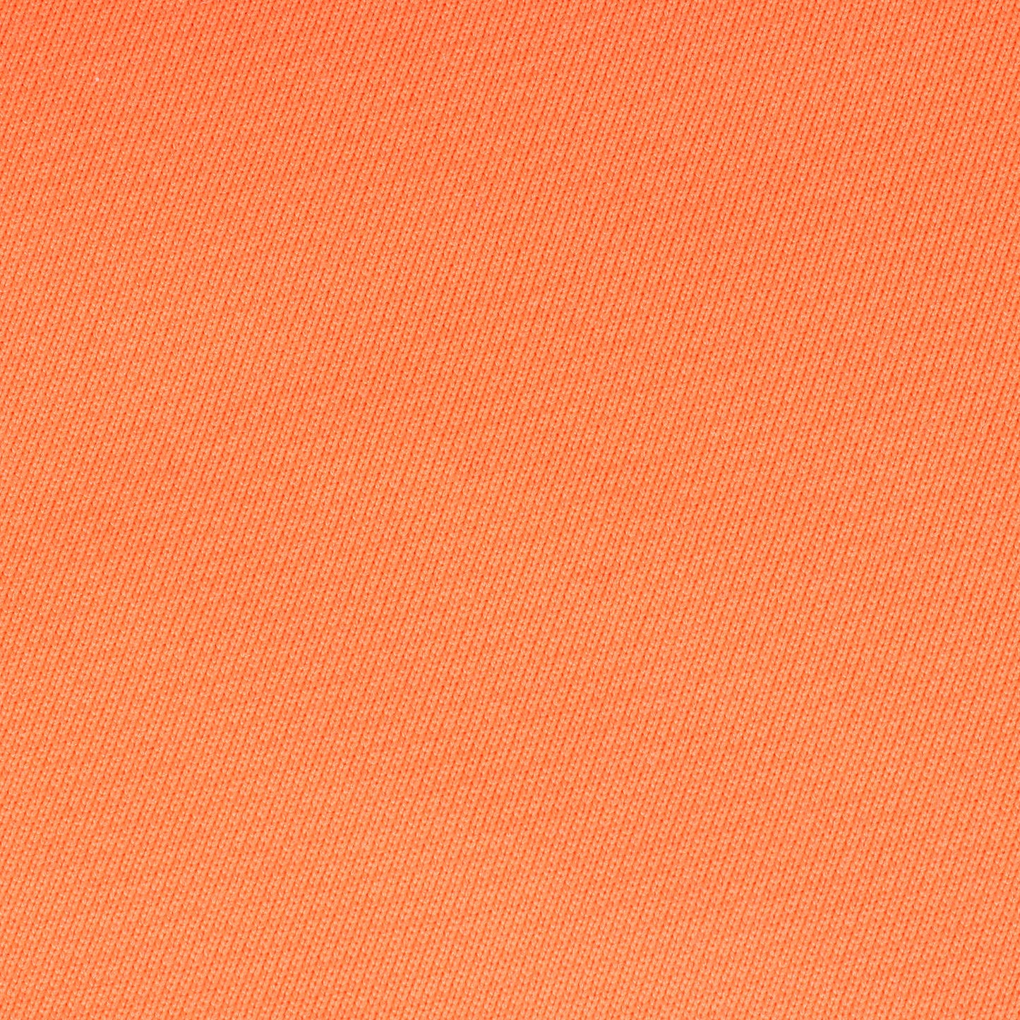 ロゴ スウェット (20WBM-SAMPLE) / 裏毛 BEACON SAMPLE