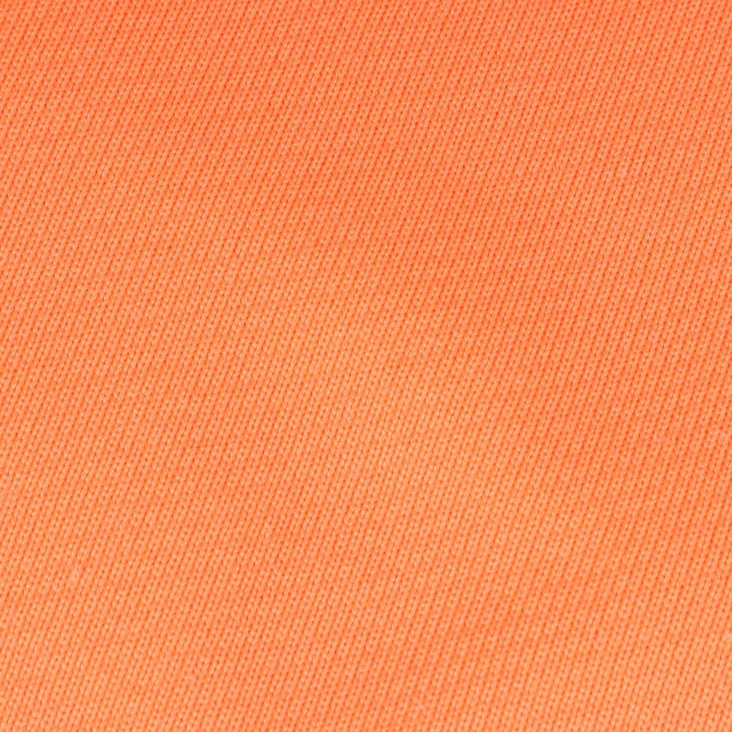 ロゴ スウェット (20WBM-SAMPLE) / 裏毛 BEACON SAMPLE