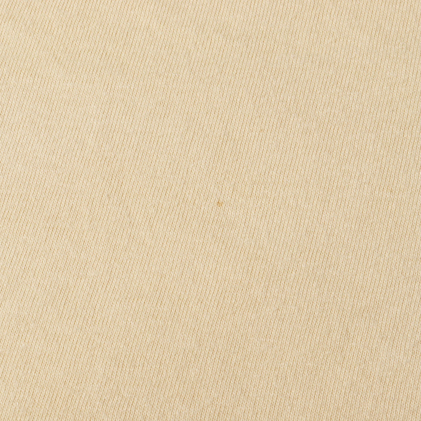 23AW グラフィック ロゴ Tシャツ (SD California Dreamin Tee)