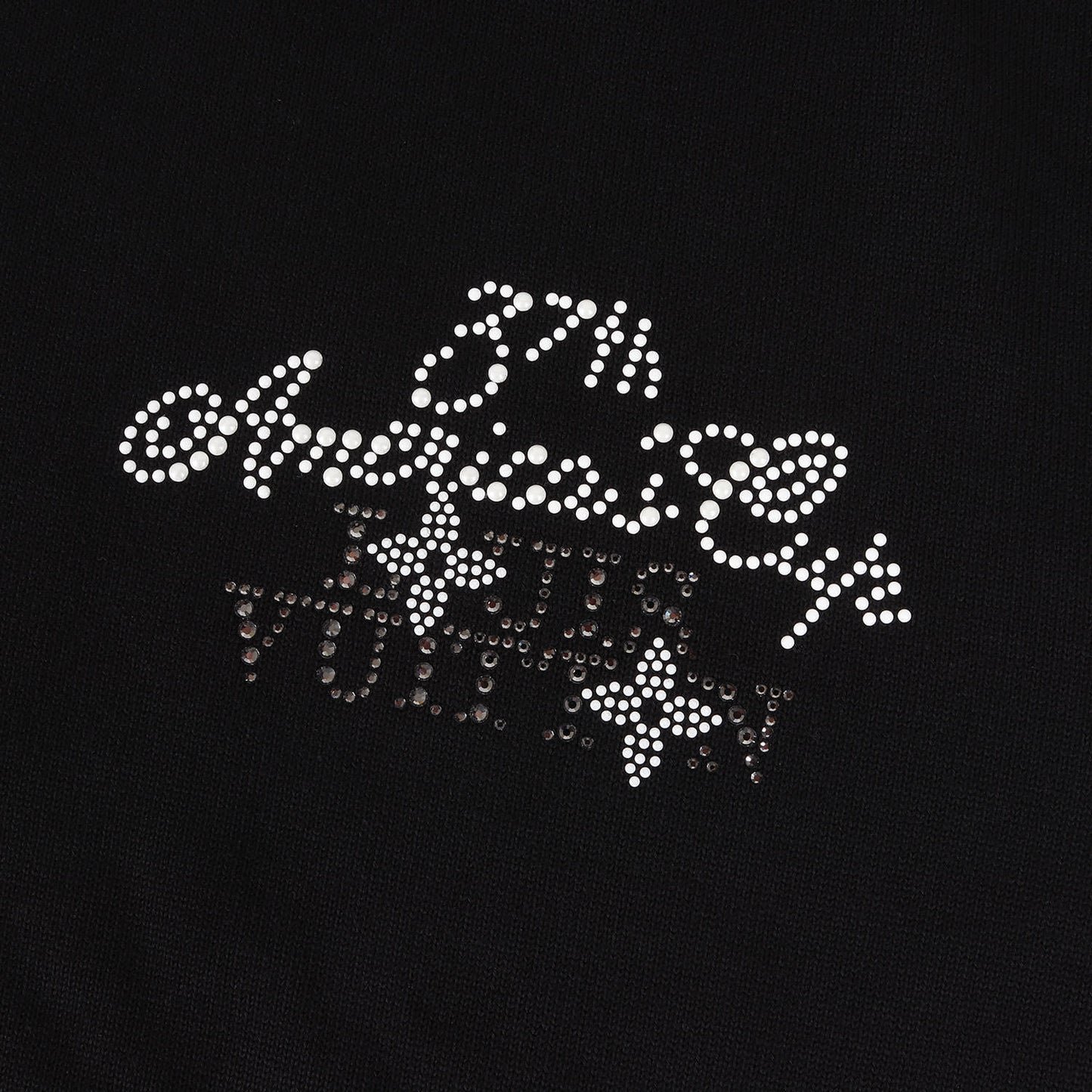 24AW アメリカズカップ エンベリッシュド ショートスリーブ コットン クルーネック Tシャツ (Embellished Short-Sleeved Cotton Crewneck 1AFVSA)