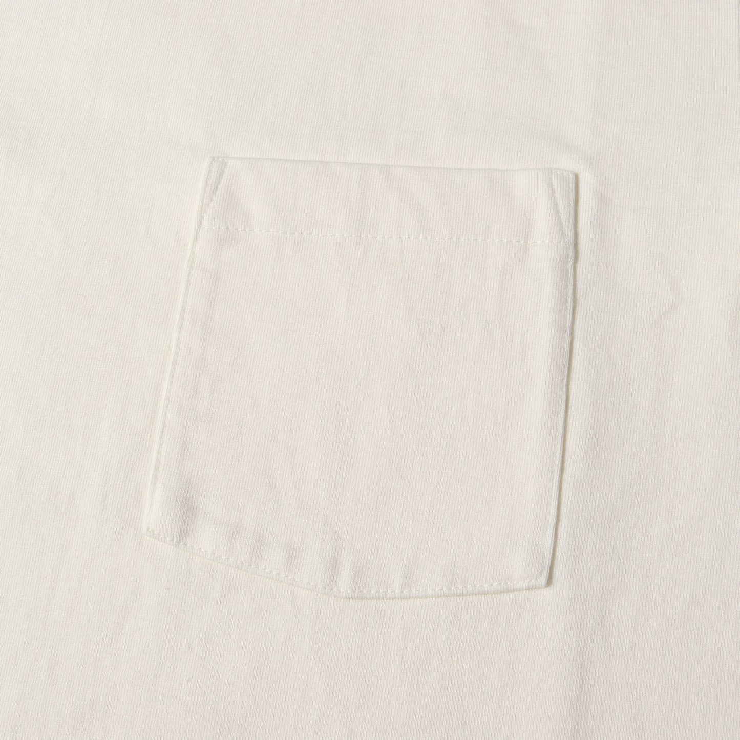 ヘビーウェイト スタンドアップ ポケット Tシャツ (STAND UP TEE A21ST01SU)