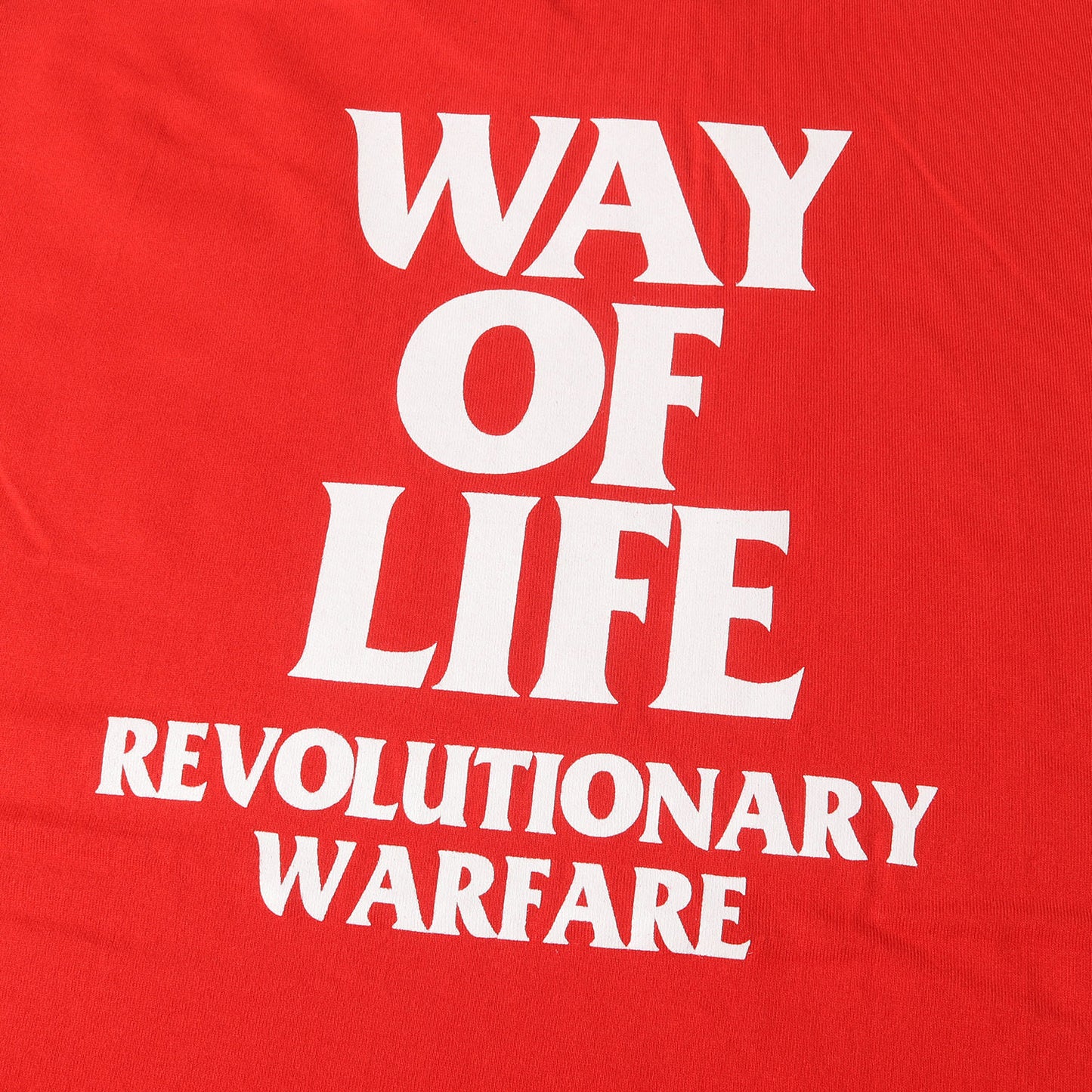 24SS ボックスロゴ Tシャツ (BOX LOGO WAY OF LIFE TEE 24SPT-0801) / 著名人着用