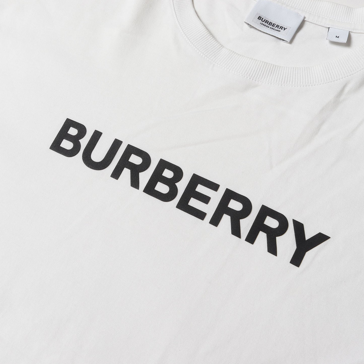 ロゴ Tシャツ (8055309)