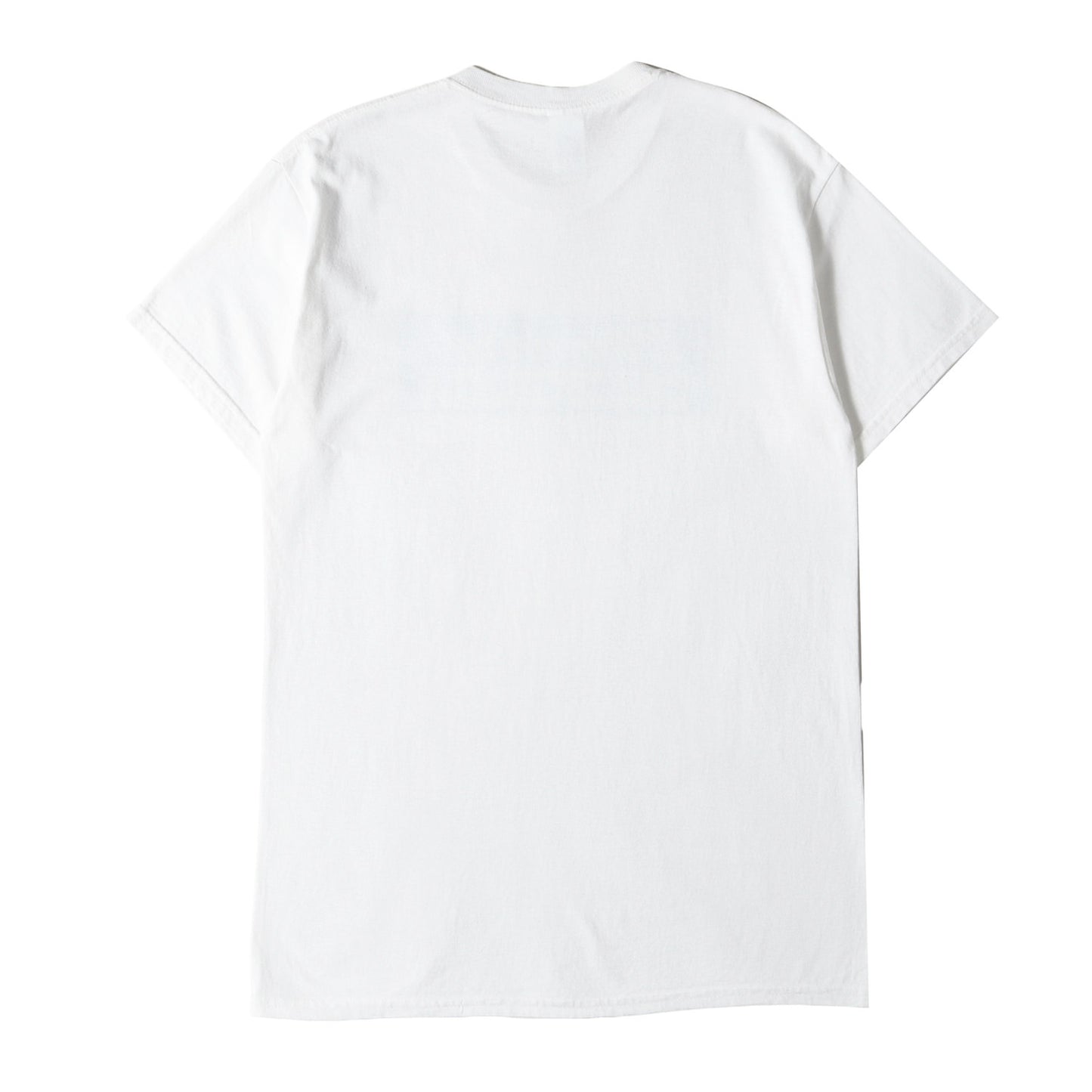 GREEN ROOM FES 2018 限定 ロゴ Tシャツ / GILDAN ULTRA COTTON