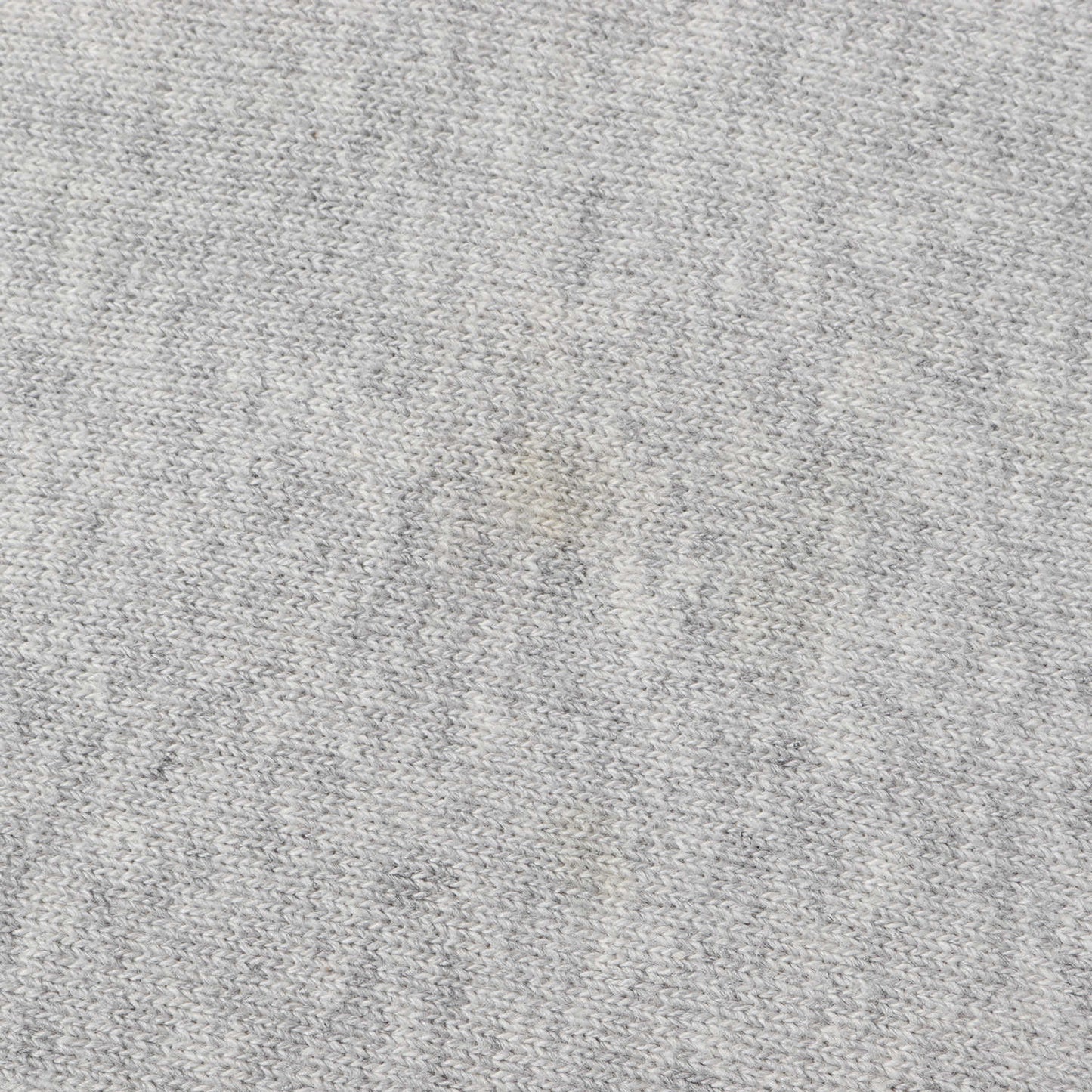 × Champion 4段ロゴ リバースウィーブ スウェット パーカー / 裏起毛