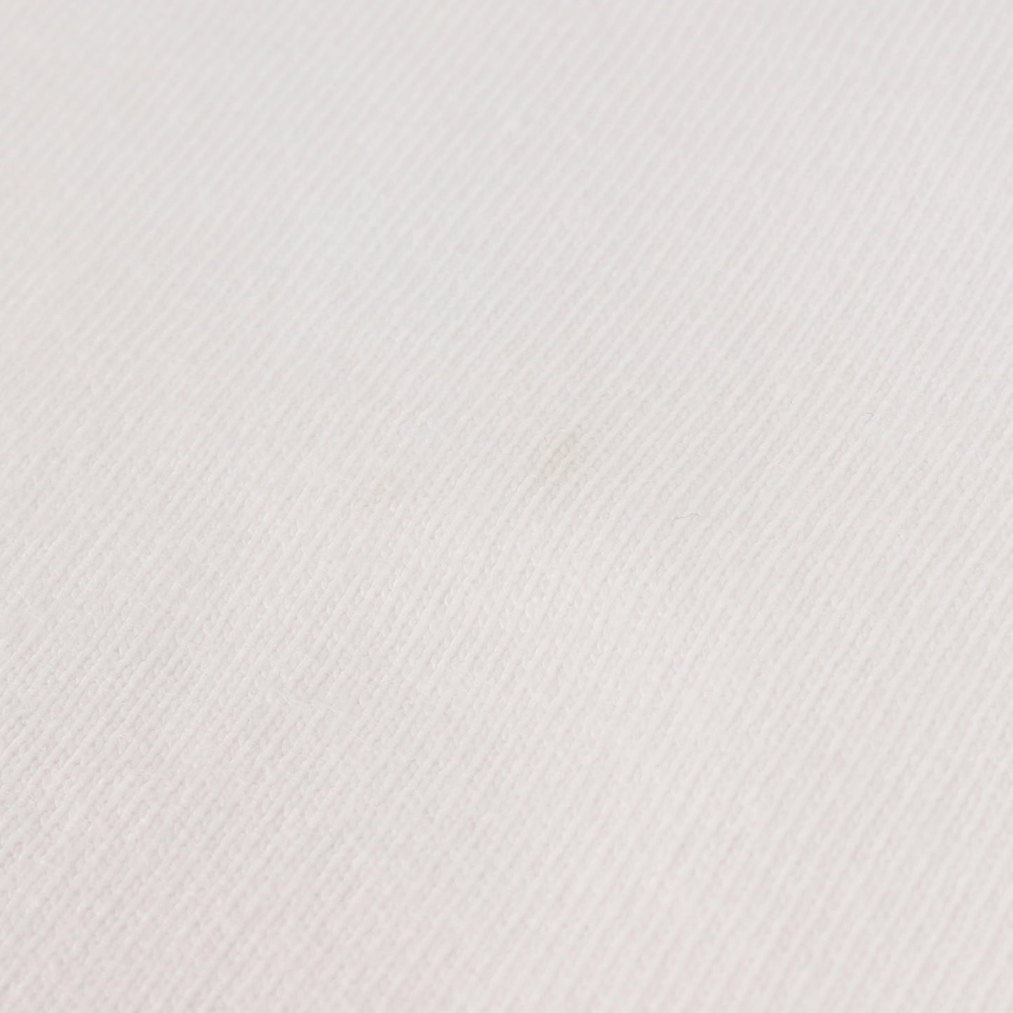 24SS × FRUIT OF THE LOOM ヘム ロゴ プレーン ソリッド Tシャツ (Fruit Of The Loom×SD 2Pack Tee)