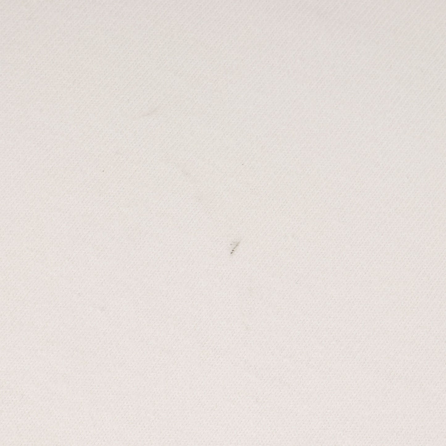 23SS ワンポイント ロゴ 刺繍 ヘビーウェイト Tシャツ (OG Logo S/S Tee SDCS-CT01)