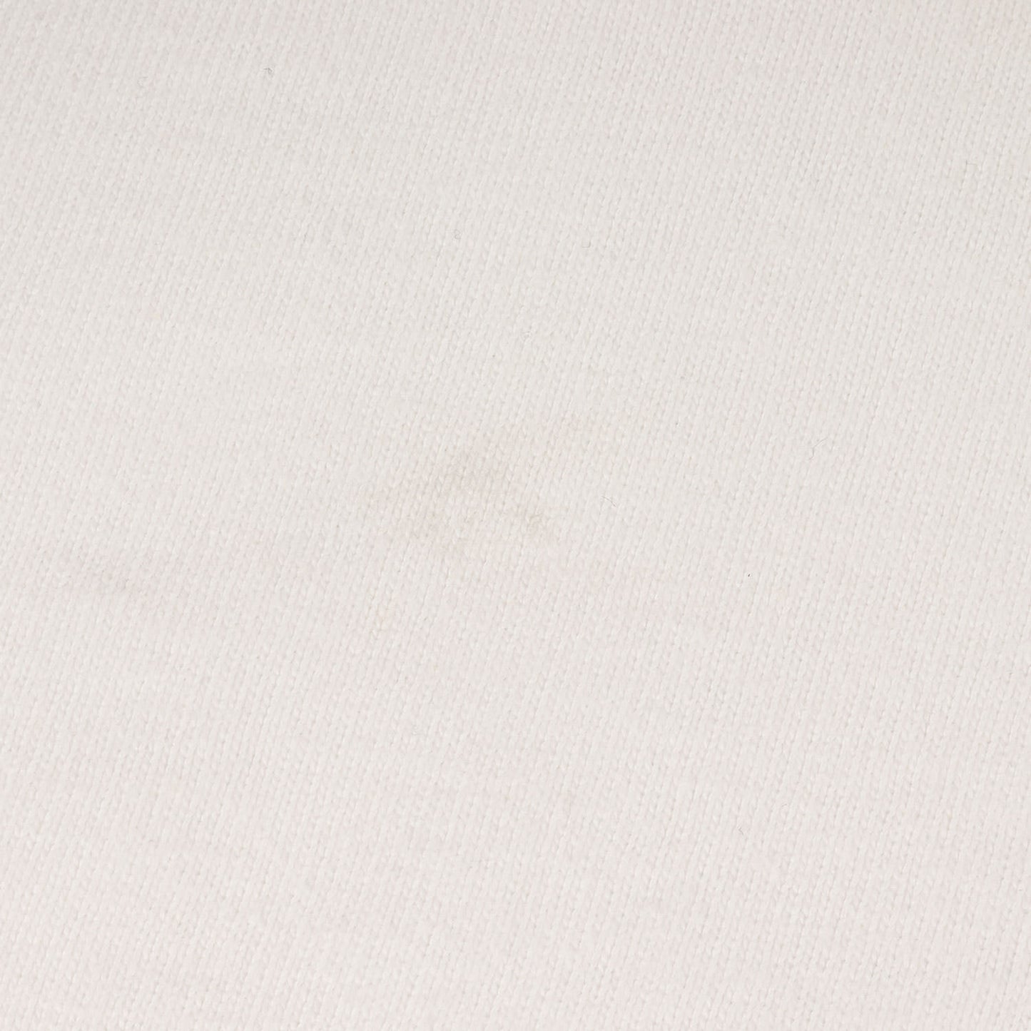 23SS ワンポイント ロゴ 刺繍 ヘビーウェイト Tシャツ (OG Logo S/S Tee SDCS-CT01)