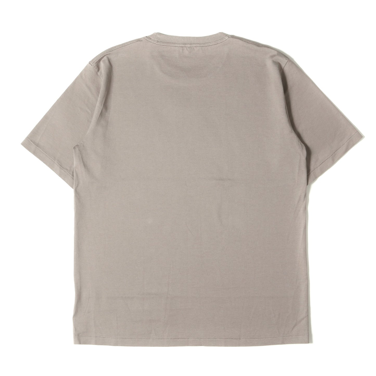 プレーン Tシャツ (LUSTER PLAITING TEE A00ST02GT)