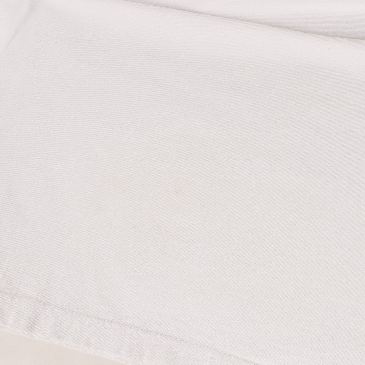 × Champion ヘビーウェイト グラフィック ロゴ Tシャツ (CHAMPION × SD T1011) / MADE IN USA