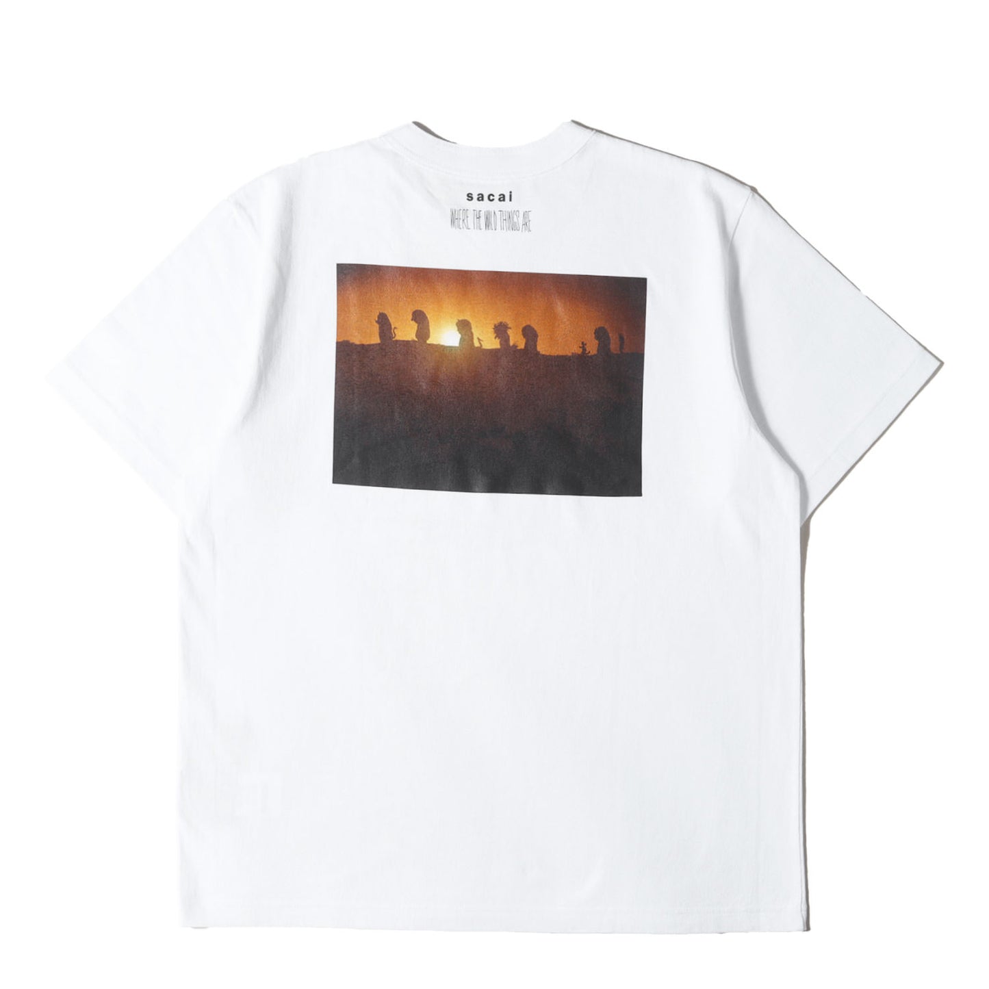 25AW × かいじゅうたちのいるところ グラフィック ロゴ Tシャツ (WHERE THE WILD THINGS ARE T-Shirt 25-01007S)