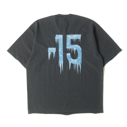 25SS ヴィンテージ加工 ロゴ ウルトラフリーザー Tシャツ (ULTRA FREEZER REGULAR FIT T-SHIRT 25SS37CS377)