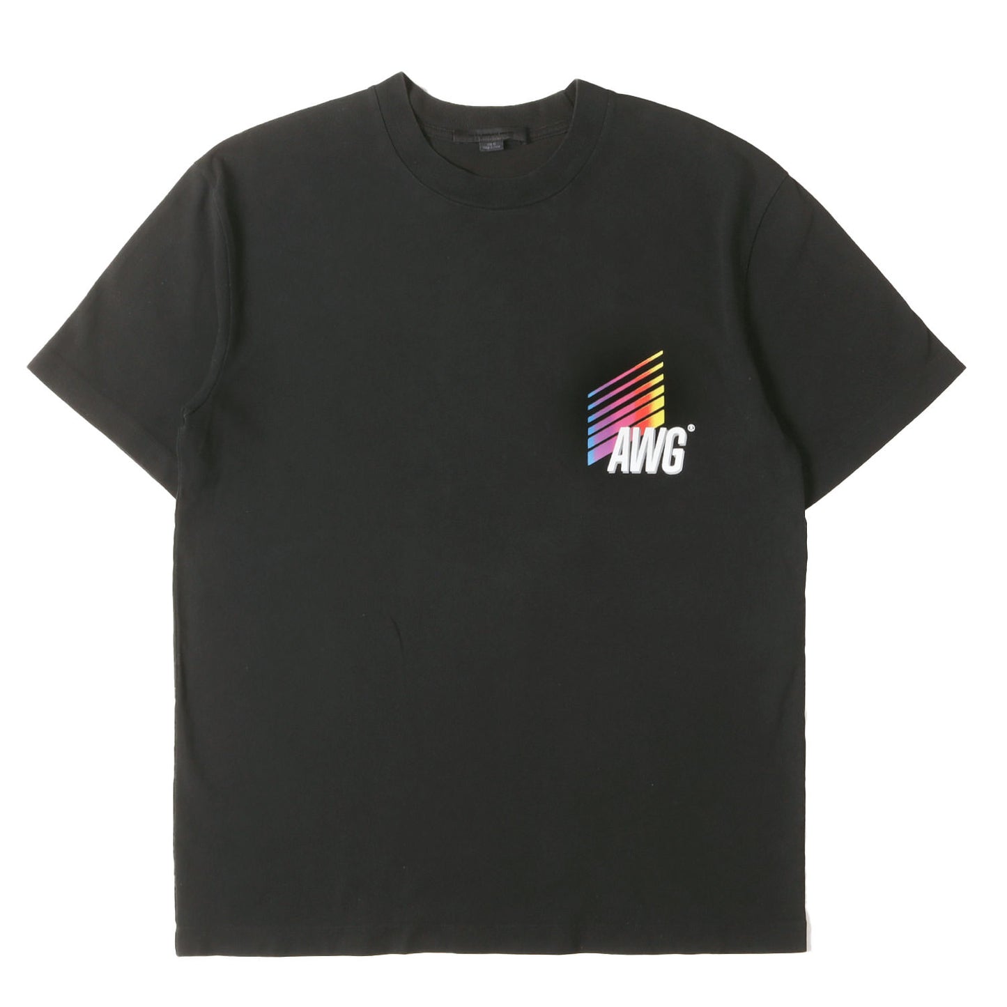グラフィック ロゴ Tシャツ
